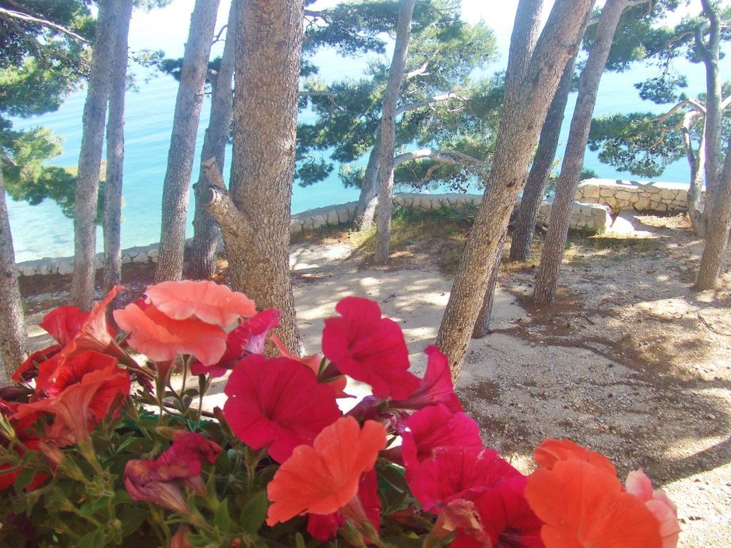 Apartment Jelas Živogošće Cameră foto